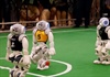 Sôi động Giải bóng đá robot thế giới 2019 tại Australia