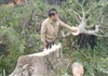 Lâm Đồng bắt nhóm đối tượng hạ gần 18.000m2 đất rừng phòng hộ