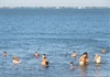 Tìm thấy thi thể 4 du khách đuối nước tại biển Phan Thiết