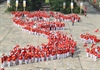 Hơn 1.000 người cao tuổi mặc áo đỏ sao vàng xếp hình Tổ quốc