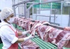 Thủ tướng yêu cầu kiên quyết giảm giá thịt lợn dưới 60.000 đồng mỗi kg