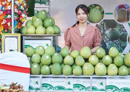 Trải nghiệm phiên chợ nông sản tại trung tâm thành phố Huế