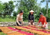 Huyện Tư Nghĩa (Quảng Ngãi): Đồng hành cùng người dân phát triển kinh tế